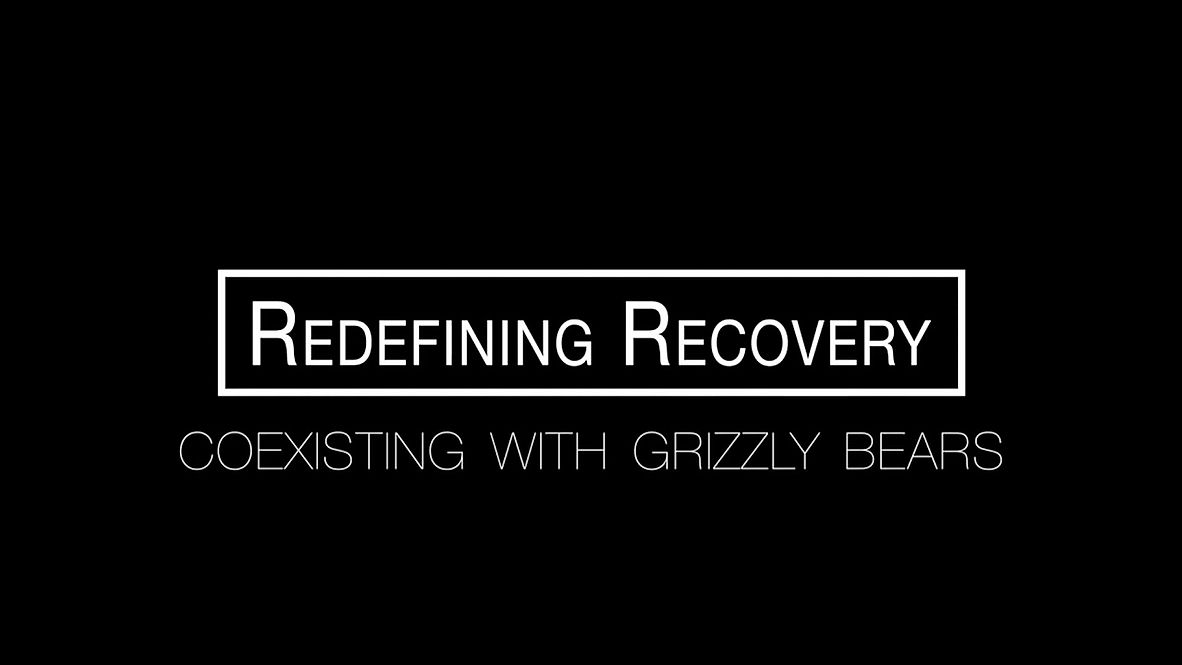 Redefining Recovery